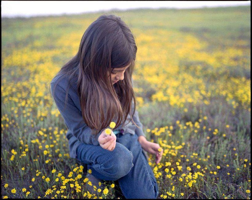 wildflower blumenmädchen wildflower blumenmädchen